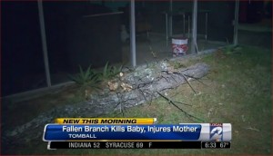 Mother injured, toddler killed by falling tree branch Lyndi Lolmaugh tree branch accident Tomball Texas